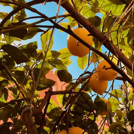 A Casa Dei Sasso Positano