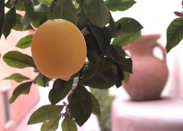 A Casa Dei Sasso Posizione A Positano